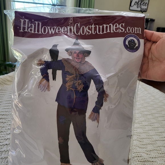 Scarecrow Costume - Picture 2 of 9